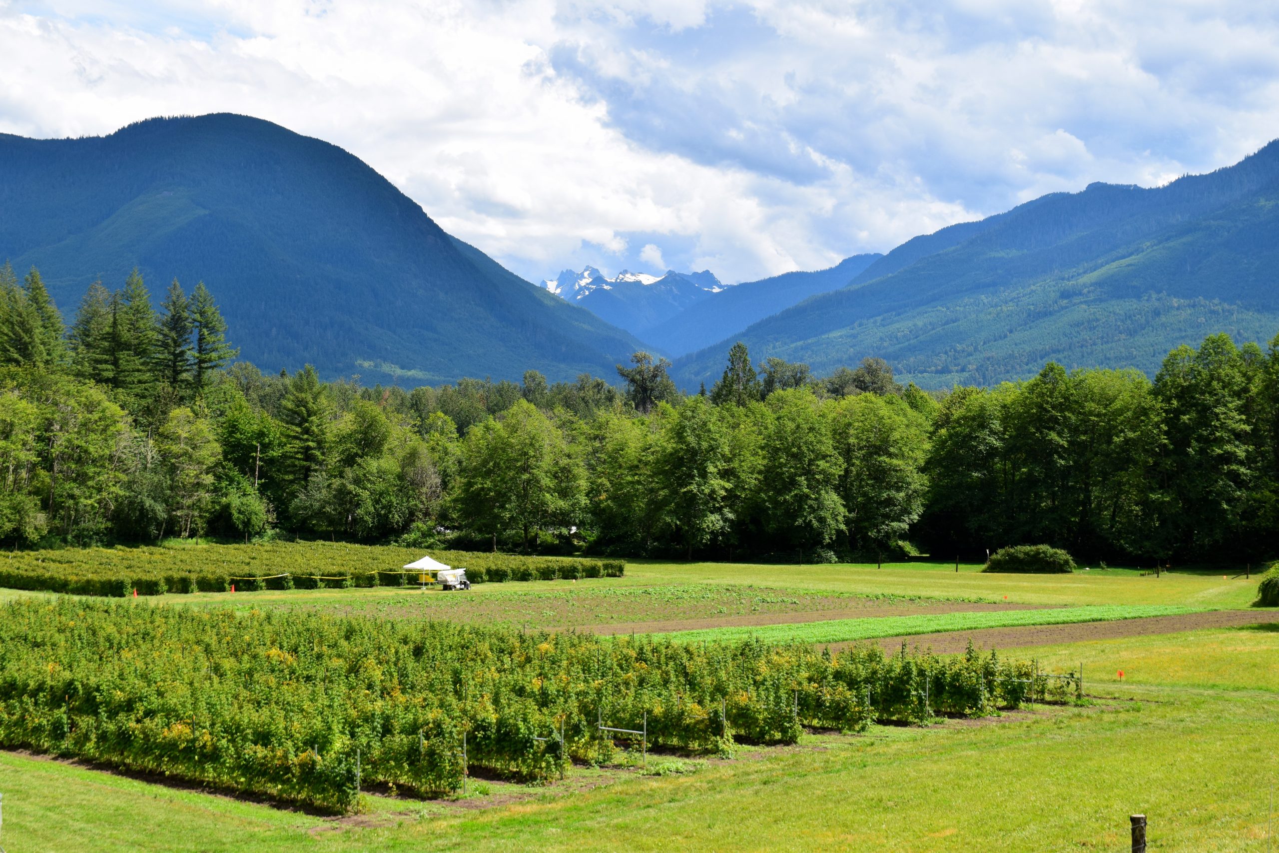 750K committed to farmland project by General Mills' Cascadian Farm