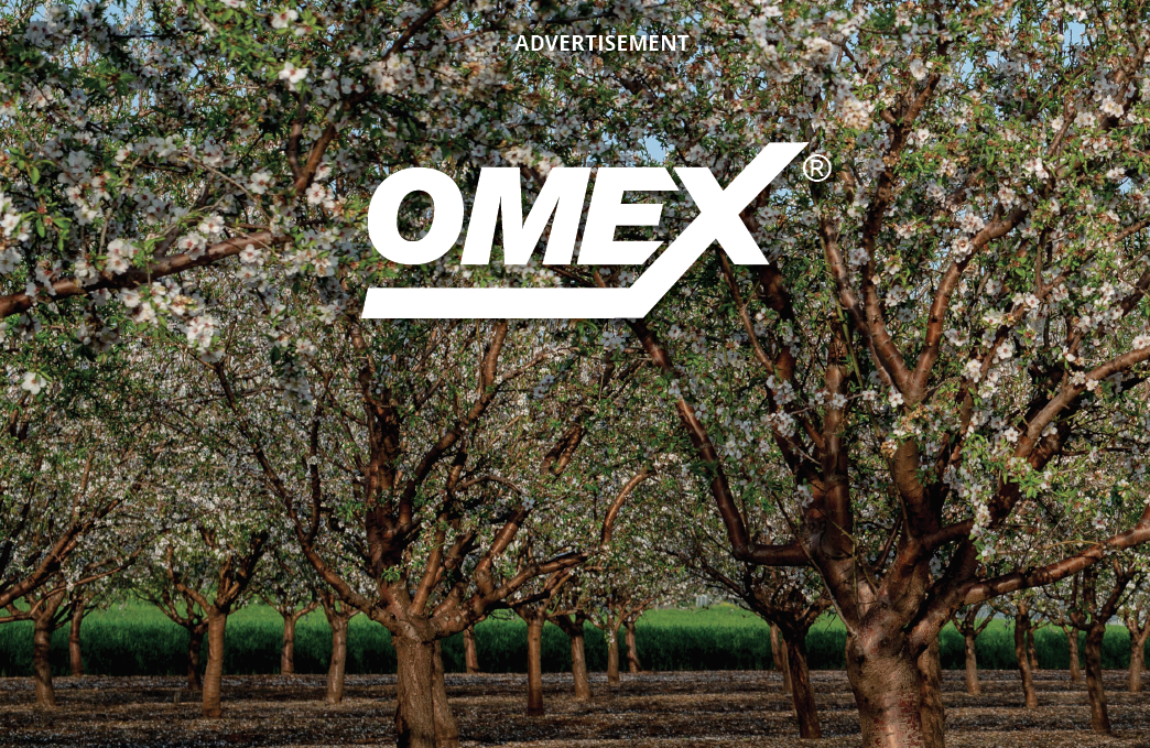 Image of nut orchard with OMEX logo in white on it