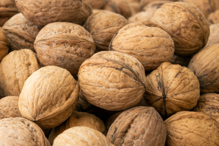 Harvard research explores walnut consumption and life expectancy link
