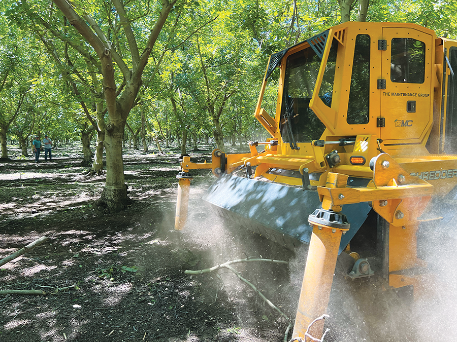 Matching upgrades with trends National Nut Grower