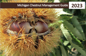 Michigan Chestnut Management Guide 2023 image