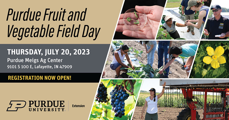 Purdue Fruit and Vegetable Field Day 2023