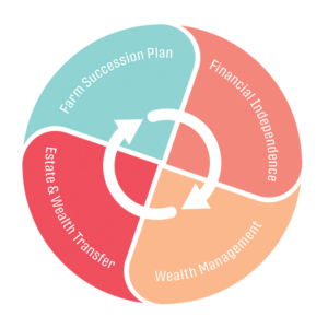 Chart depicting the components of a succession plan