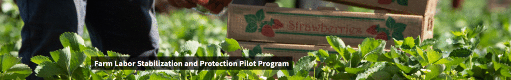 USDA Farm Labor Stabilization and Protection Pilot Program
