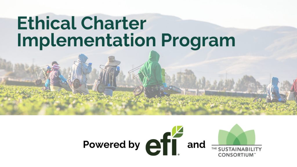 EFI Ethical Charter Implementation Program EFI