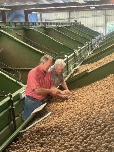 John Post with Agricultural Advisors’ research director, Rick Carothers, checking nuts from a trial from their Sutter County property.