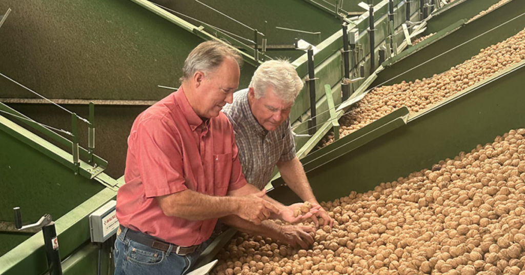 John Post is an almond and walnut grower
