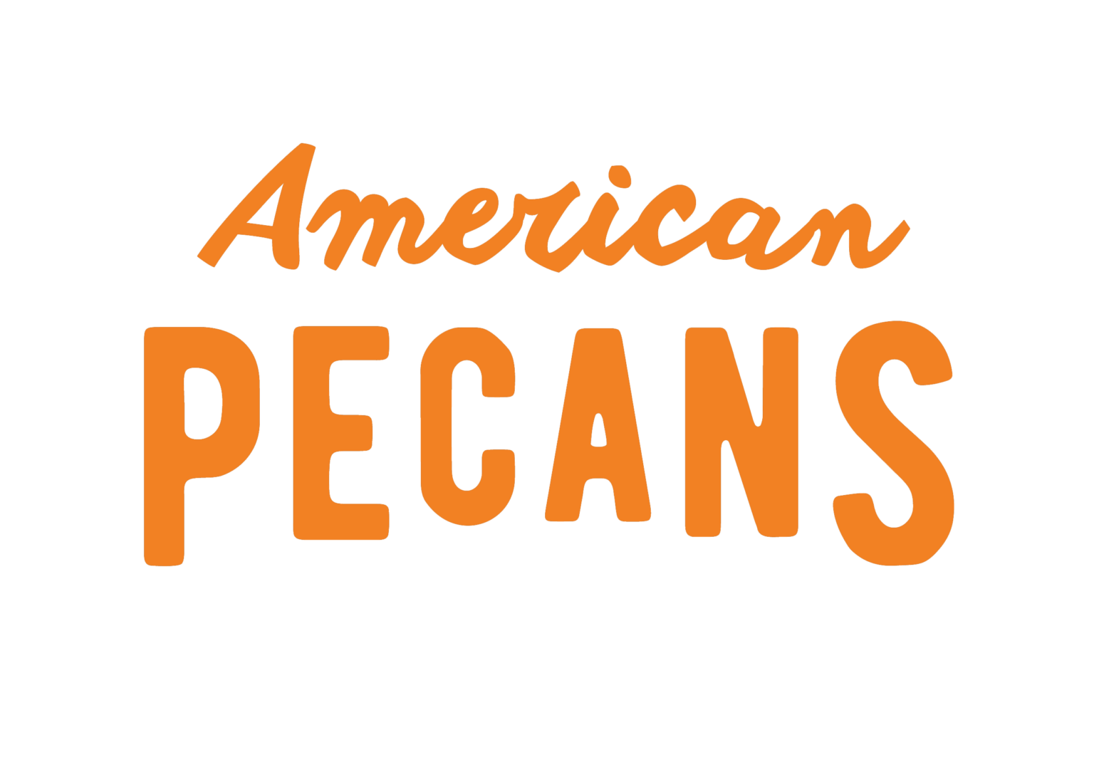 India Trade Mission Promotes Pecans National Nut Grower india-trade-mission-promotes-pecans-national-nut-grower