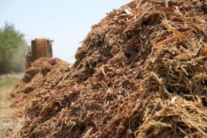 The BDO Zone Initiative has issued a ‘AA’ BDO Zone rating covering 1,104,000 tons per year of underutilized woody and nut tree biomass in the North San Joaquin Valley, California