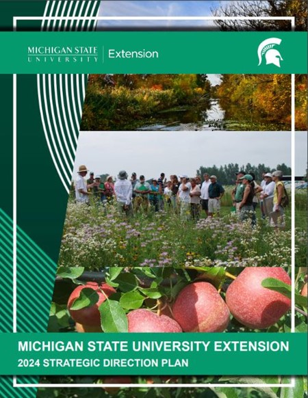 MSU strategic plan -