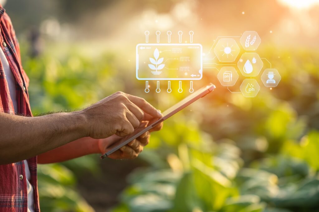 Farm worker examining and using digital tablet in field.