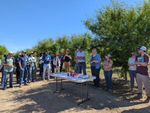 Group of people standing around a table in an almond orchard.