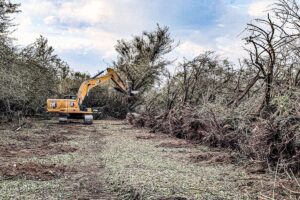 Machinery removing almond trees.