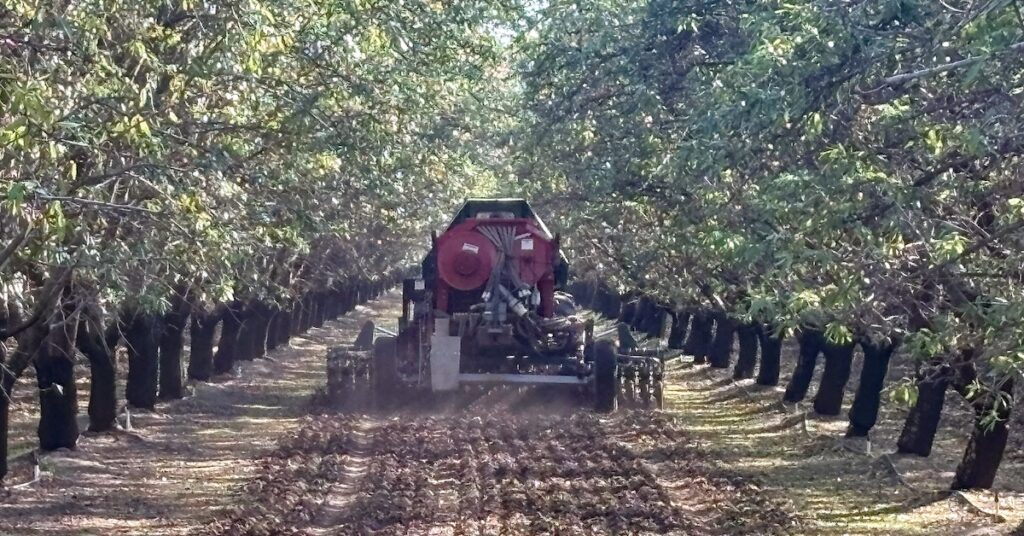 Farm equipment planting in an almond orchard.