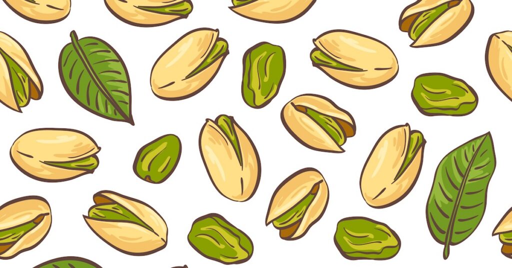 Hand-drawn sketch of roasted pistachio seed with shell.