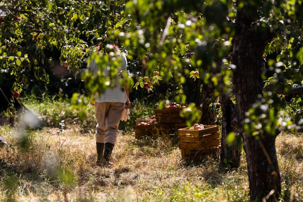 Farm groups applaud USDA decision to discontinue farm labor survey