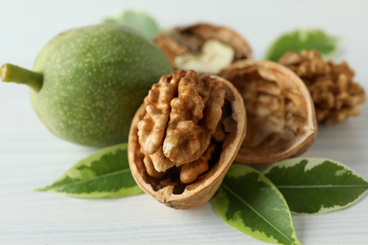 Walnuts with nut peel on white wooden background.