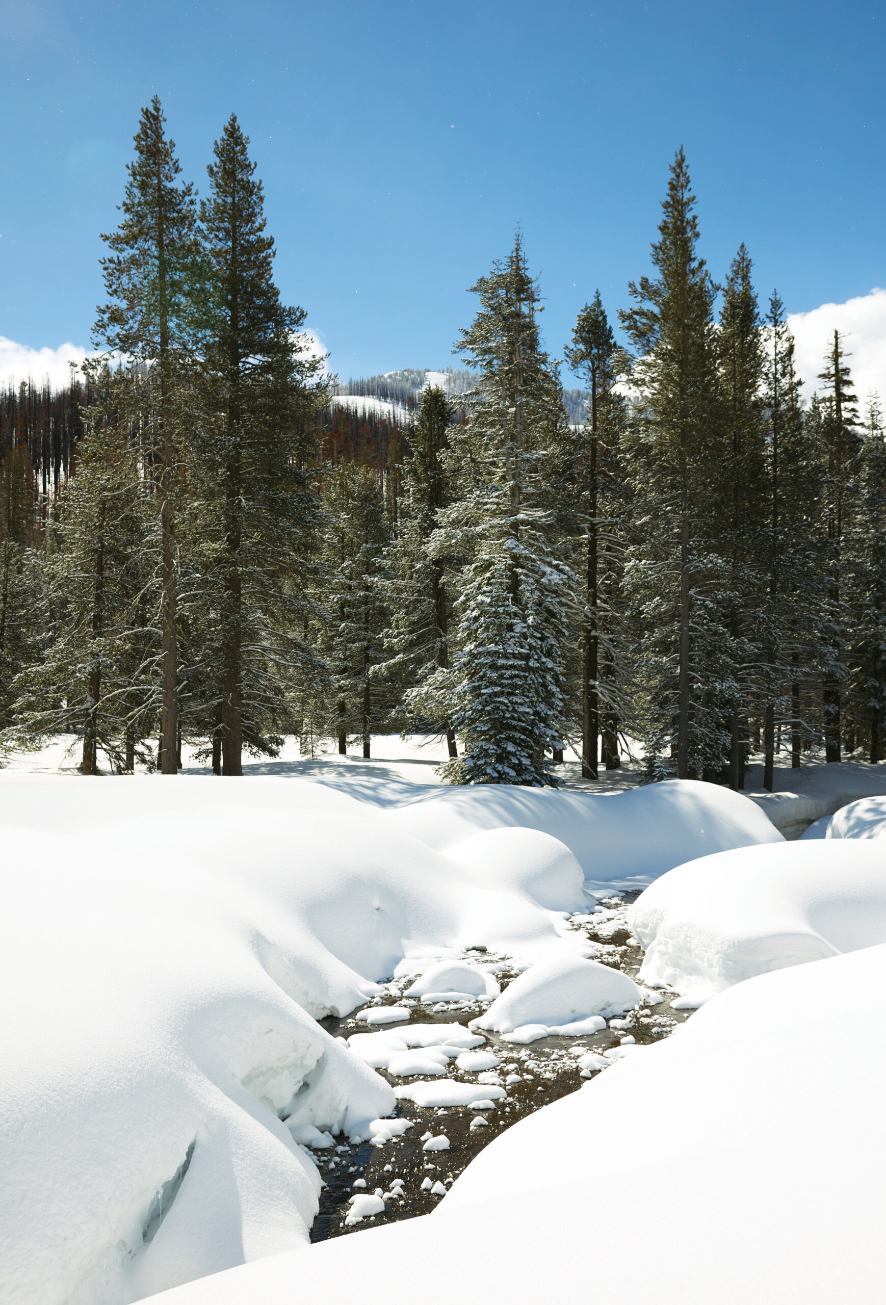 he snow scenes shown here were captured near the site of the fourth media snow survey of the 2023 season at Phillips Station in the Sierra Nevada Mountains. Photo taken April 3, 2023.