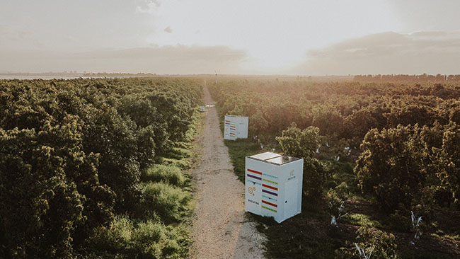 The buzz around pollination tech