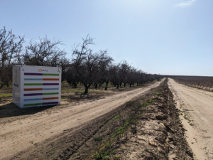 A multi-hive bee housing unit in an almond orchard.
