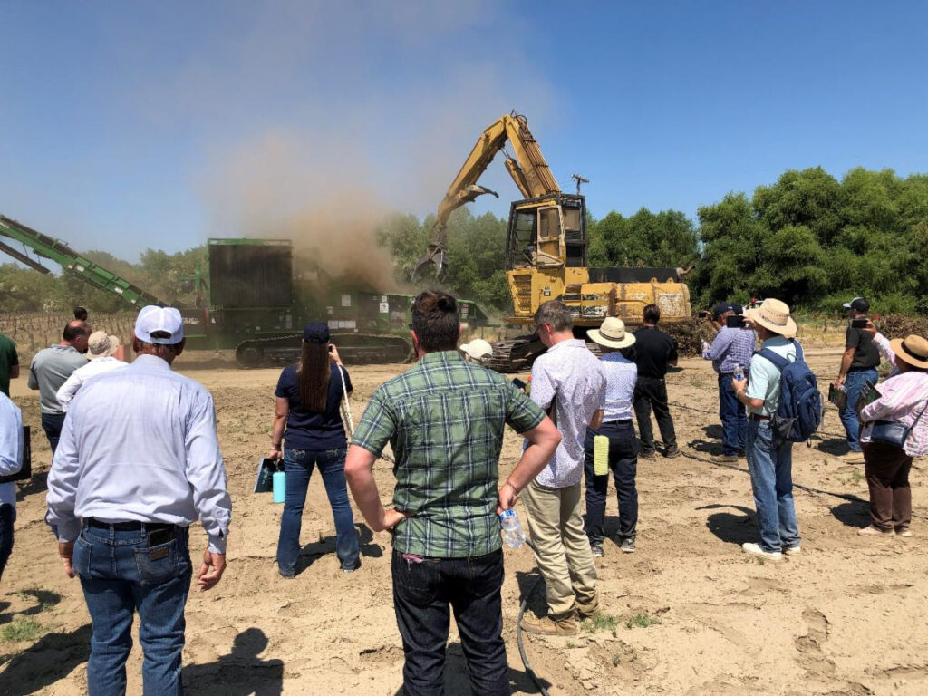 Cost-effective alternatives offered to replace ag burning for orchard removal