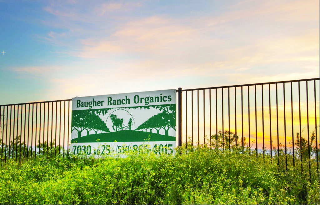 Baugher Ranch Organics sign hanging on a fence with the sunset in the distance.