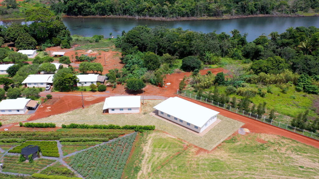 New solitary bee species discovered in Bayer ForwardFarm in Brazil