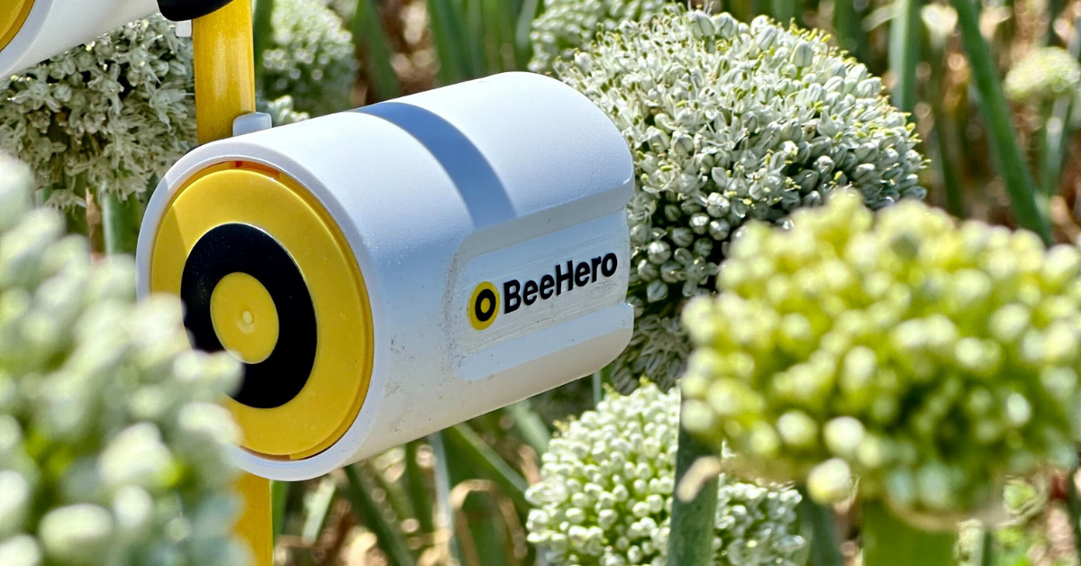 BeeHero PIP 2.0. Photo courtesy of BeeHero.