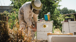 Beekeepers using BeeHero's technology report 33% fewer colony losses compared to the national average.