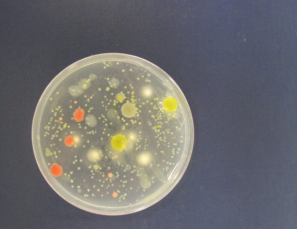 BioConsortia set to present at two separate events