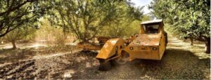 Almond shaker working in the orchard