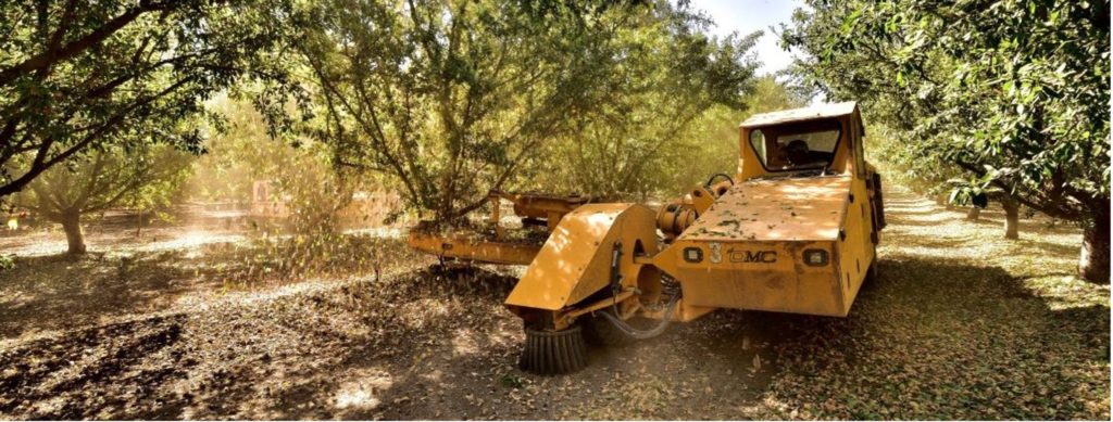 Almond harvest difficulties mount after late bloom, unusual weather in 2023