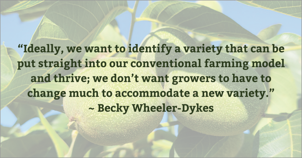 Quote from Becky Wheeler-Dykes regarding the Butte County Walnut Trials program.