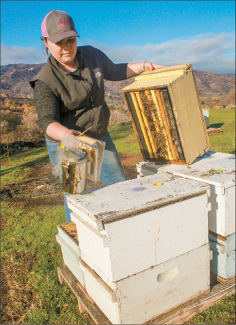 Beekeepers work to recover after wildfire damage