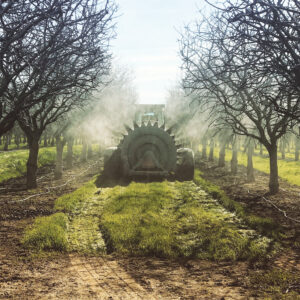 The orchard at Valley Orchard