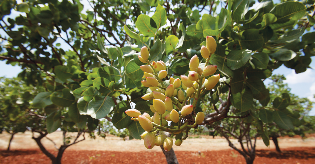 Sustainable innovations