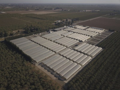 Dave Wilson Nursery acquires Fredriks Nursery in Ripon, California
