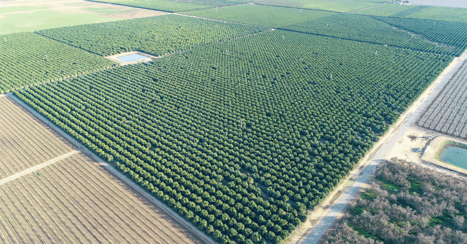 Drones over orchards