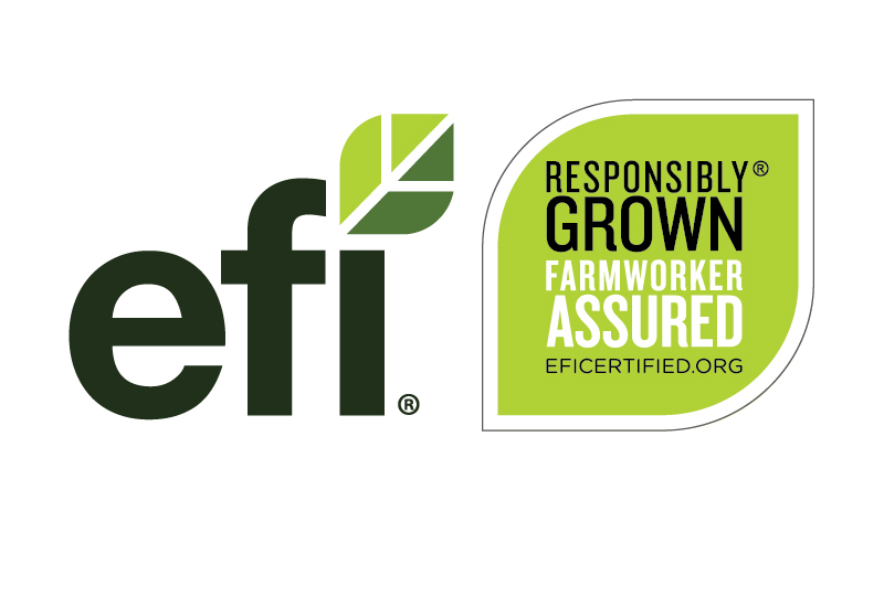 EFI simplifies worker certification program