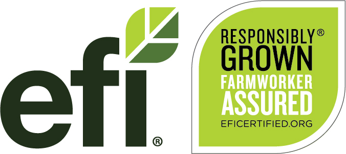 EFI logo