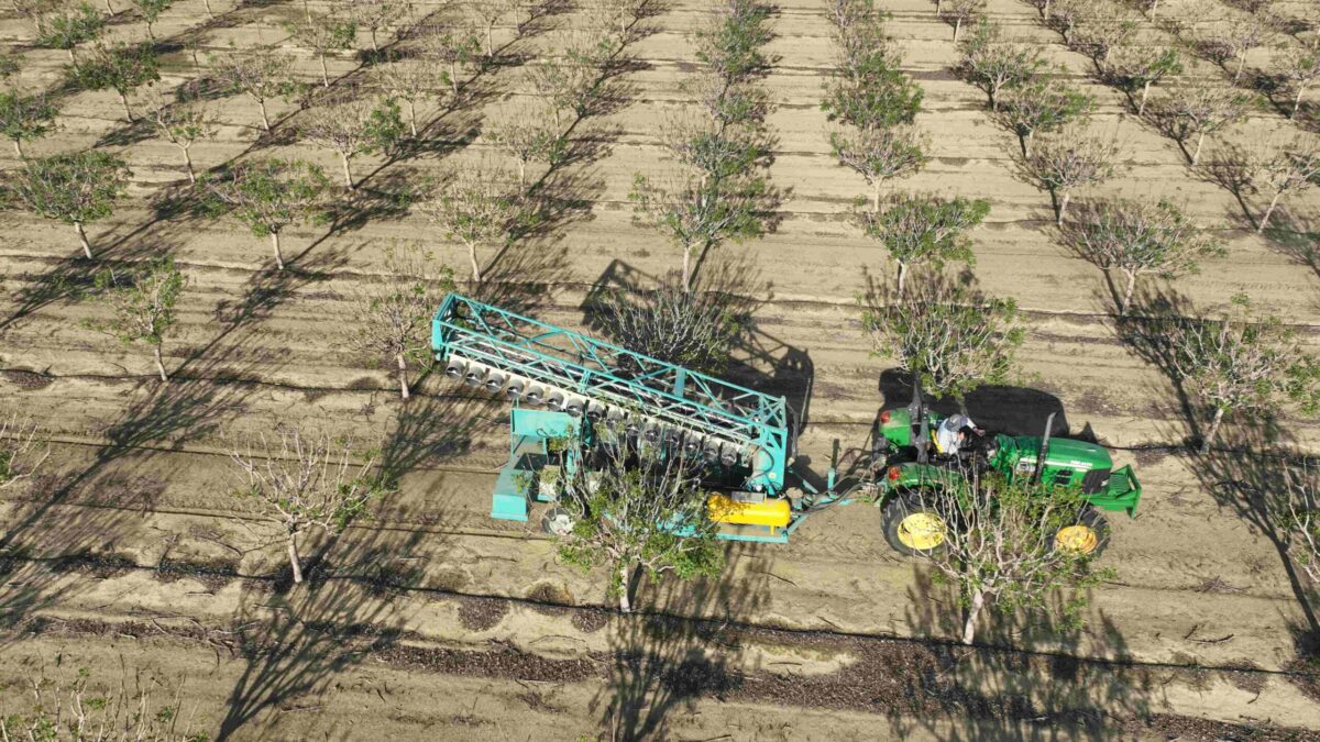 Edete's robotic pollination. Credit - Edete