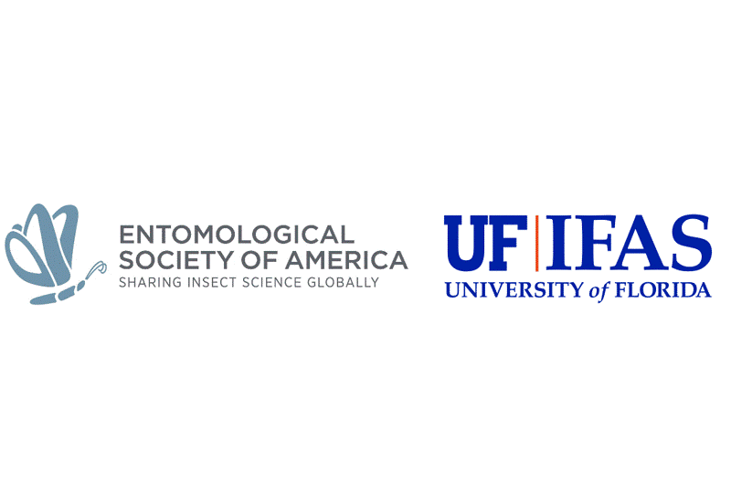 UF entomologist honored for pest management research