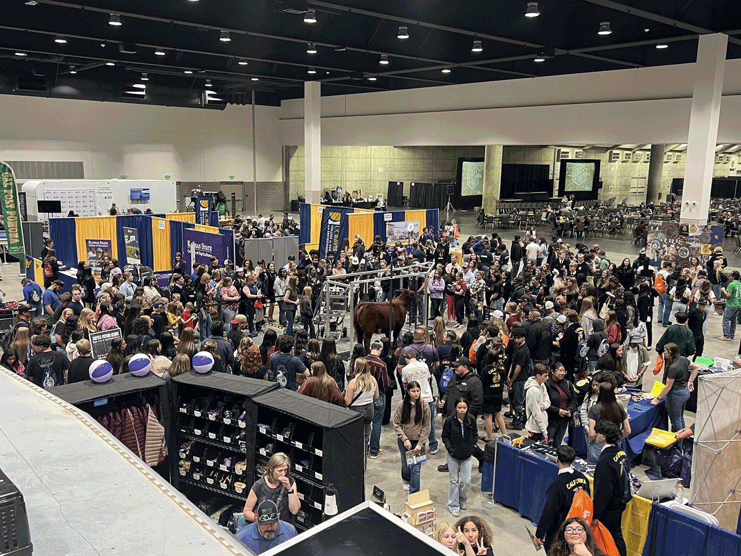 The state FFA Leadership Conference saw a record turnout, reflecting a promising future for California agriculture.
