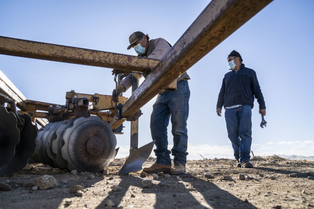 Farmworker COVID-19 safety aided as UC Davis launches $3M project