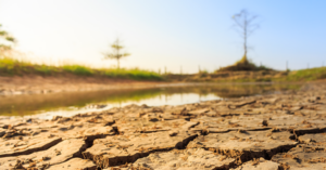 Cracked, dry earth with a blue sky in the background.