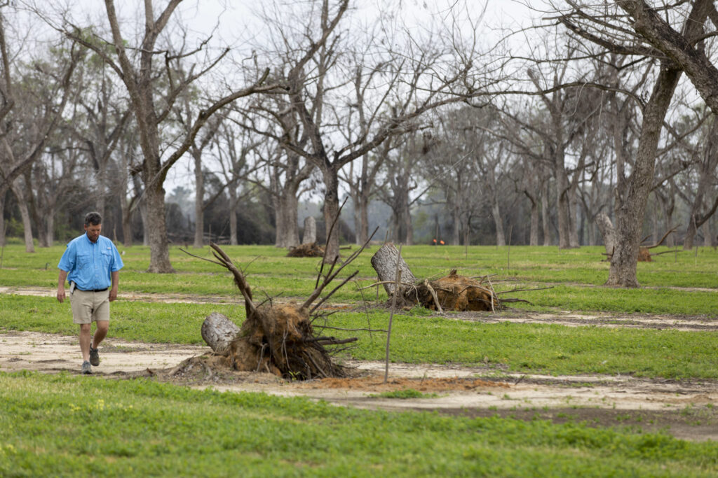 Pecan growers, others benefit from Georgia help in tough period