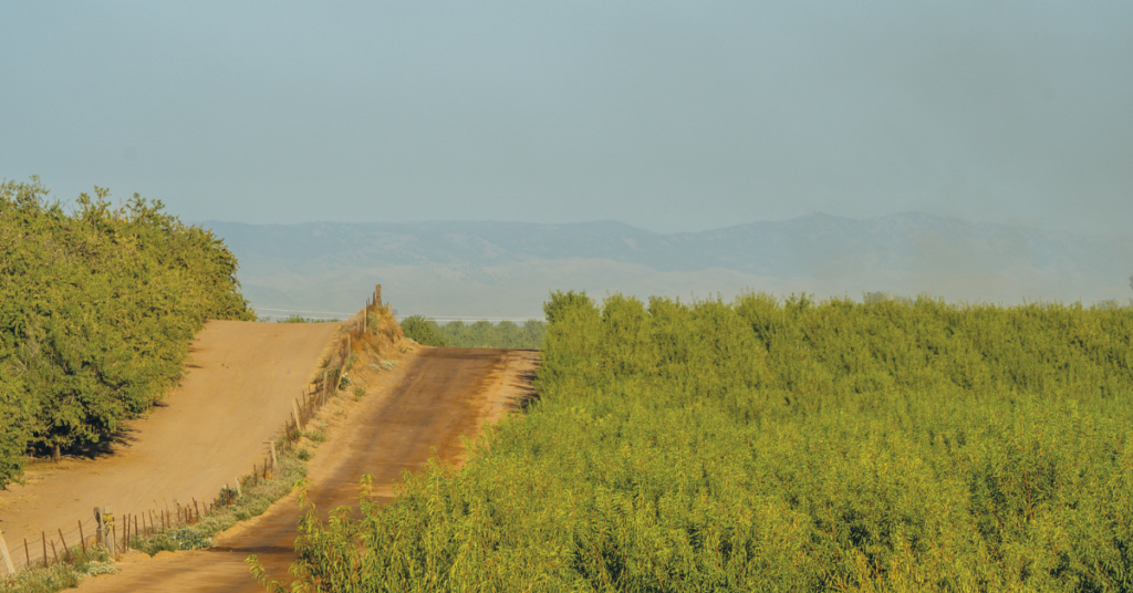 Maintaining and managing water quality in almond orchards
