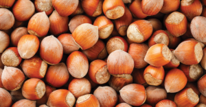 Oregon Hazelnut Commission seeks research proposals for 2026 crop year