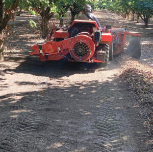 A large piece of farm equipment driving through a hazelnut orchard.