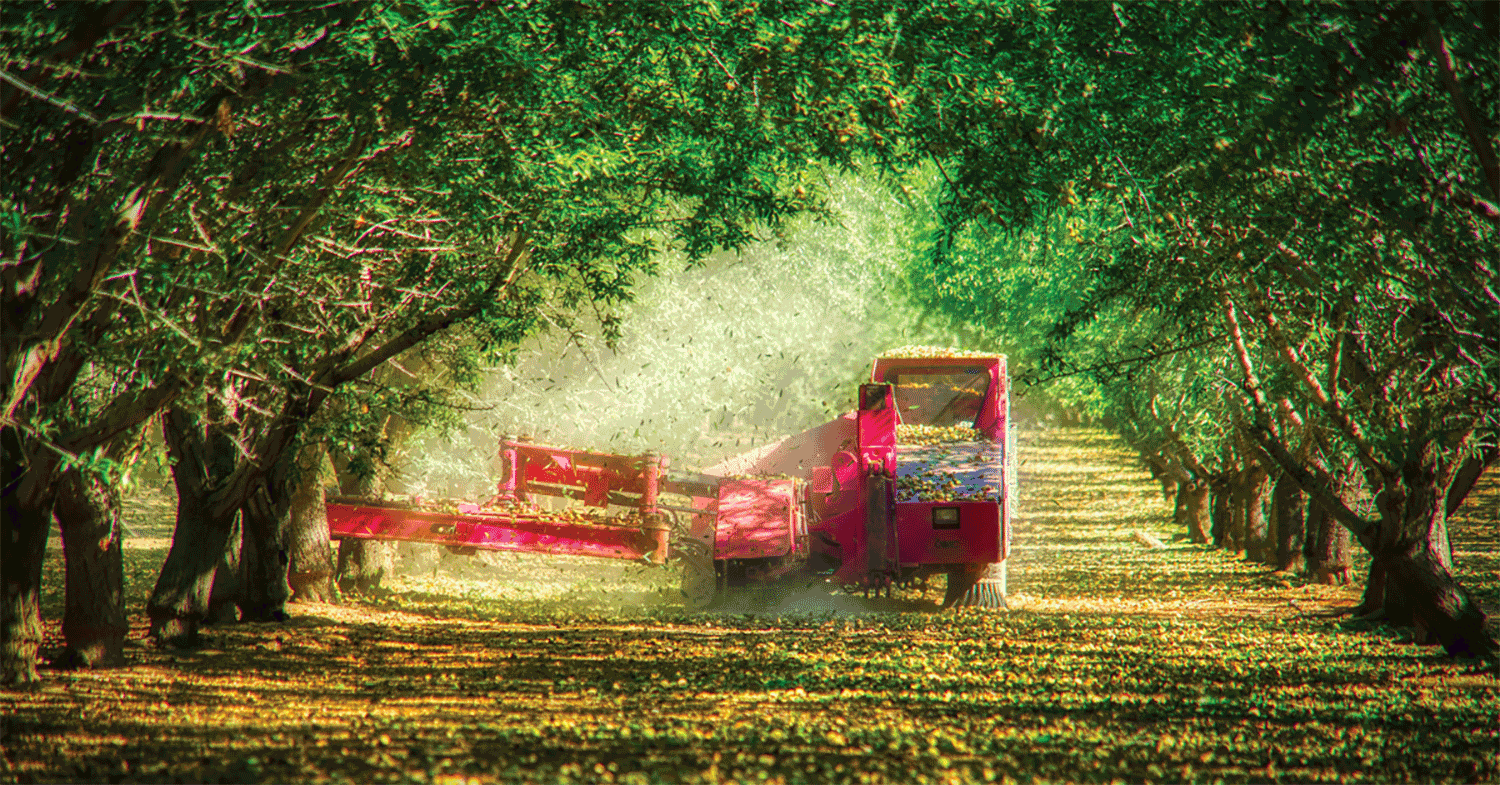 Henderson Farms, a northern California almond grower, huller and sheller. Photo courtesy of Henderson Farms.